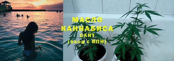 mix Гусиноозёрск