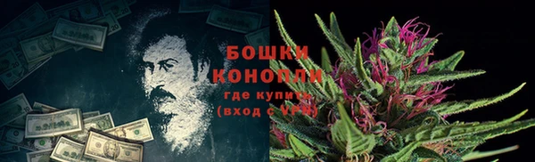 эйфоретик Гусь-Хрустальный