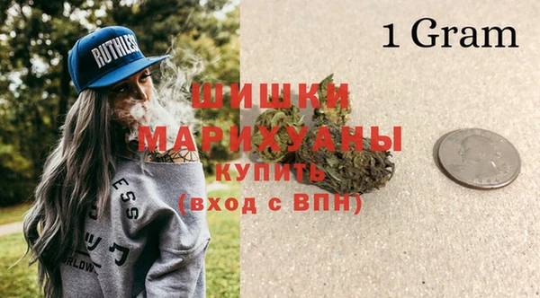 эйфоретик Гусь-Хрустальный