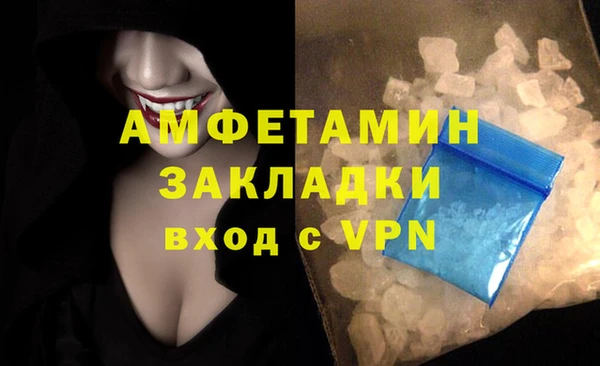 эйфоретик Гусь-Хрустальный