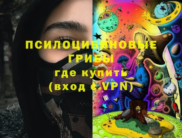 эйфоретик Гусь-Хрустальный