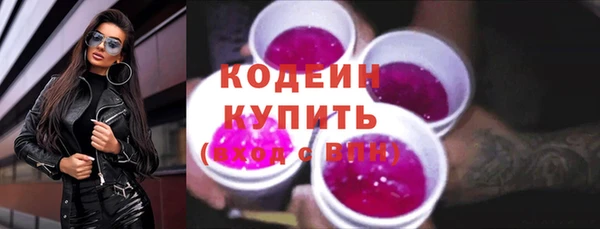 первитин Гусев