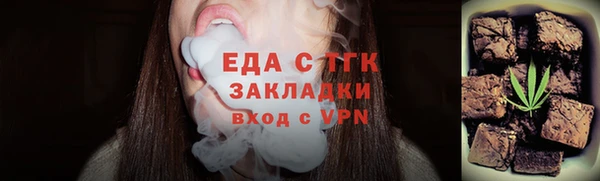 эйфоретик Гусь-Хрустальный