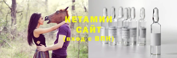 эйфоретик Гусь-Хрустальный