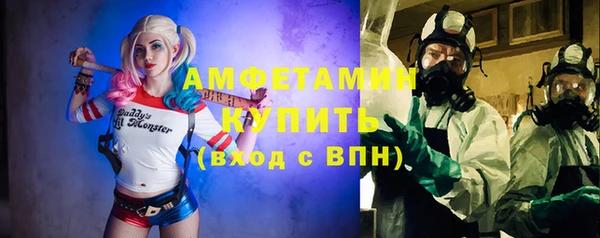 эйфоретик Гусь-Хрустальный