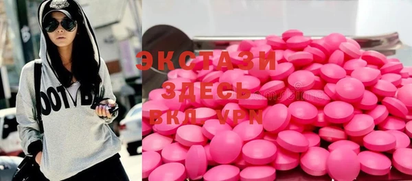эйфоретик Гусь-Хрустальный
