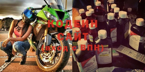 первитин Гусев