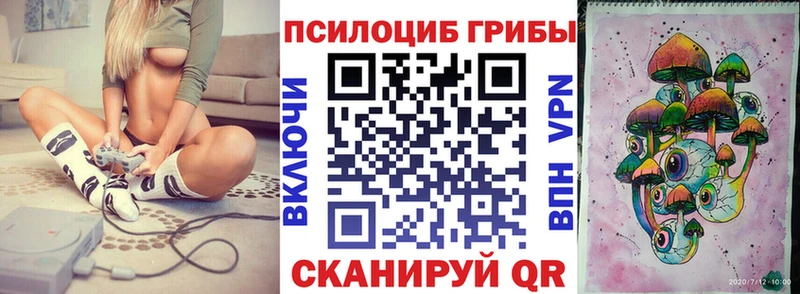 Псилоцибиновые грибы Psilocybine cubensis купить наркоту Всеволожск