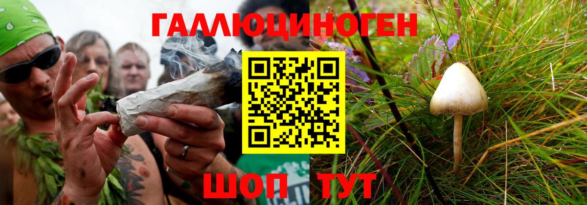Галлюциногенные грибы ЛСД Всеволожск